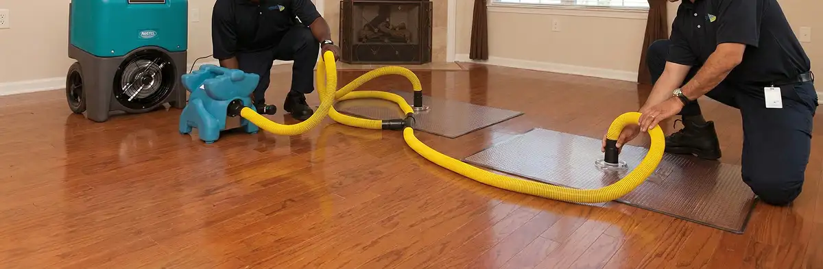 emergency water removal technicians extracting standing water from a home using professional equipment in St Paul, MN